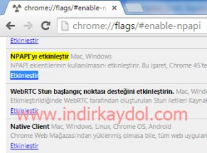Google Chrome nPapi Etkinleştirme