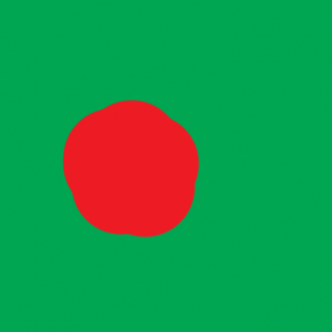 bangladesh - Bangladeş Bayrağı Skin Agar.io