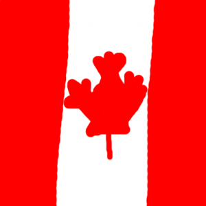 canada - Kanada Bayrağı Skin Agar.io