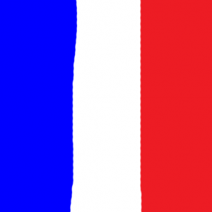 france - Fransa Bayrağı Skin Agar.io