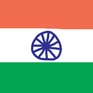 india - Hindistan Bayrağı Skin Agar.io