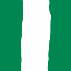 nigeria - Nijerya Bayrağı Skin Agar.io