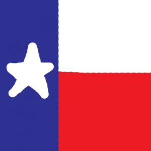 texas - Teksas Bayrağı Skin Agar.io