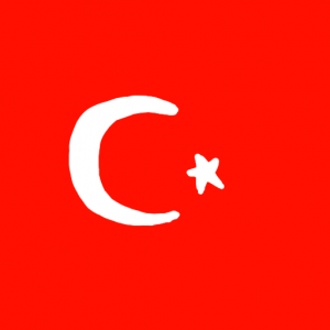 turkey - Türk Bayrağı Türkiye Bayrağı Skin Agar.io