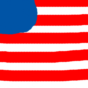 usa - Amerikan Bayrağı Skin Agar.io